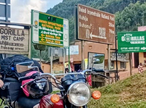 Gorilla tracking on Boda Boda