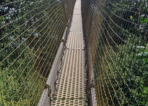 Experience the Congo-Nile Trail: Rwanda’s Scenic Adventure