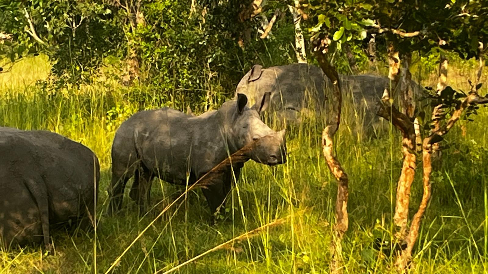 Kenya