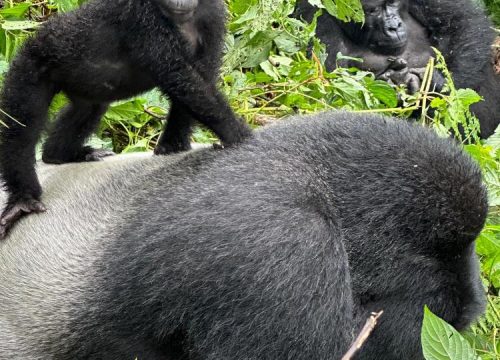 Explore Africa Through Your Lens