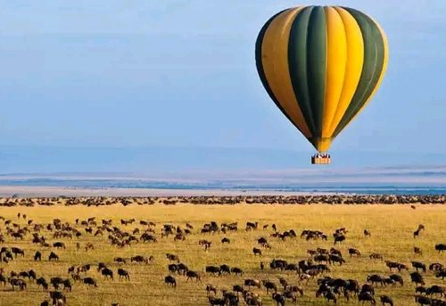 4 days Masai Mara safari -The Magical kenya