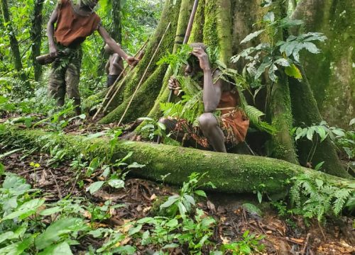 The Authentic Batwa Village  Experience