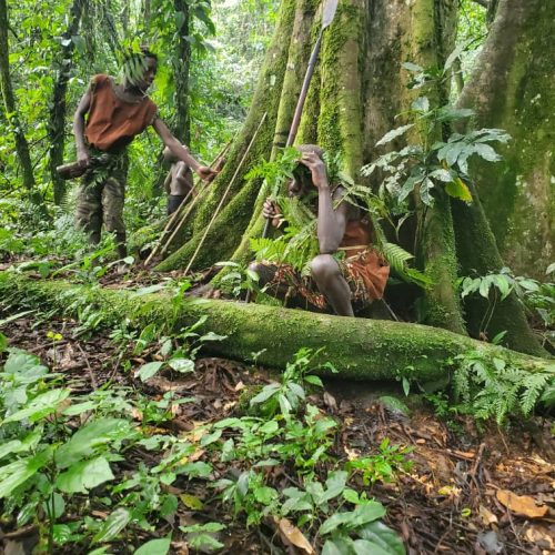 AUTHENTIC BATWA EXPERIENCE