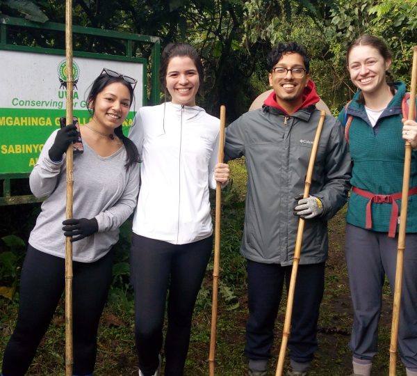 Sabyinyo hike in Mgahinga National park