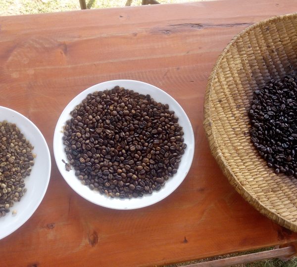 Stages of Coffee roasts