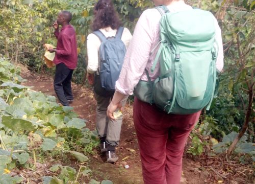 From Seed to Sip-The Good Aroma Coffee Experience