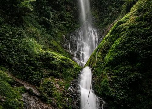 2 days Nyungwe Forest safari