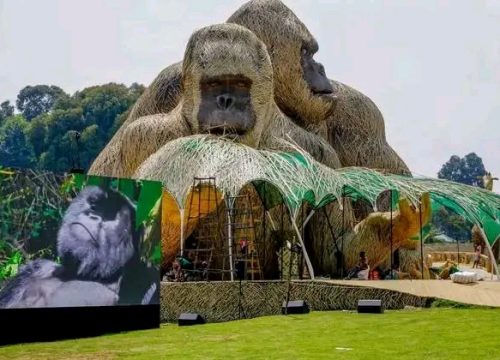 Kwita Izina -Baby Gorilla Naming Ceremony-Rwanda’s Sustainable Conservation Success