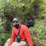 Gorilla tracking in Virunga