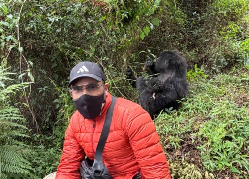 DRC- The Heart of Africa- Where Wilderness Still Breathes