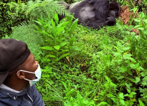 Virunga National Park- The World Heritage Site