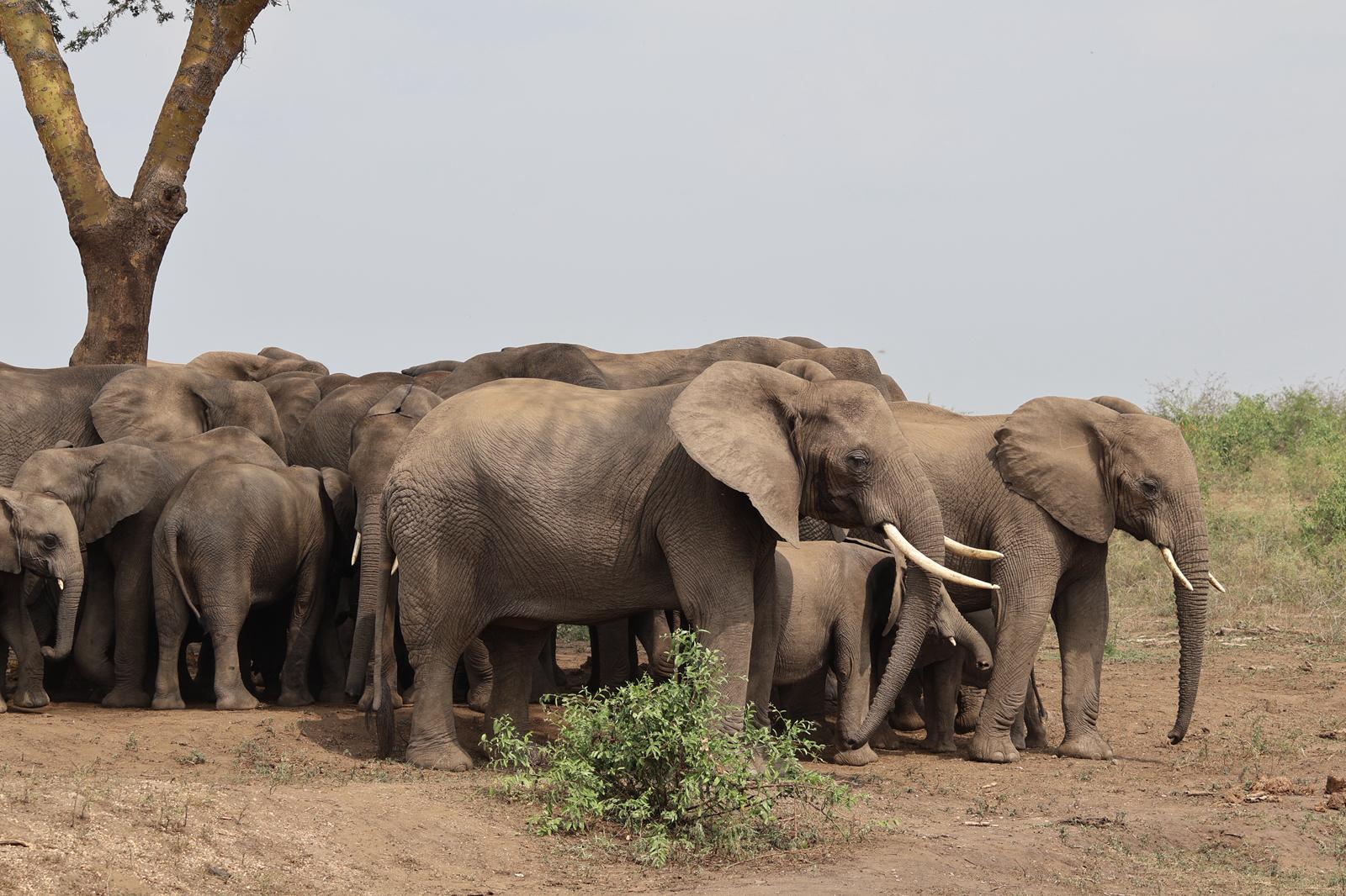 Explore Africa through your lens