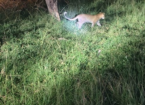 Lake Mburo National Park