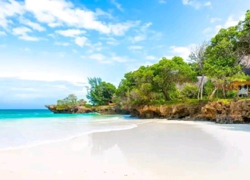 Diani Beach- Adventure begins where the sand meets the sea