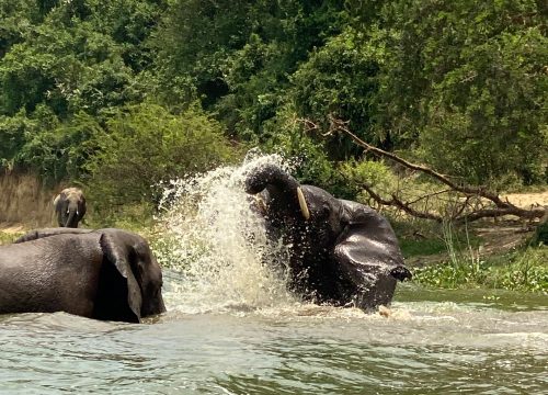 2 Days Twin Lakes Cycling and Hike in Rwanda