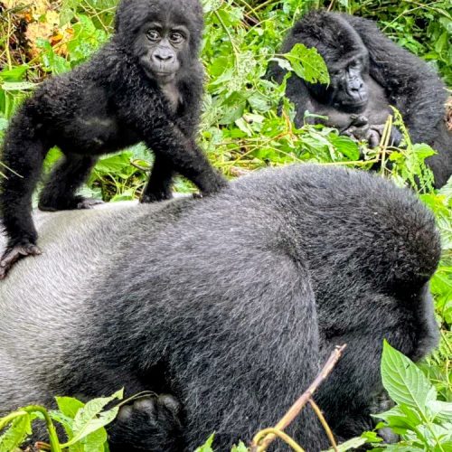 EXPLORE AFRICA THROUGH YOUR LENS