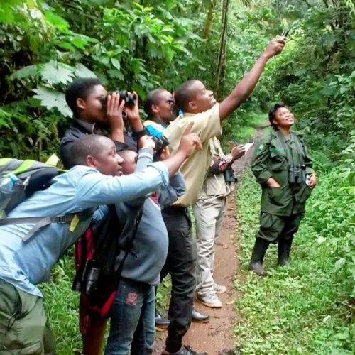 Kigezi Birding Club